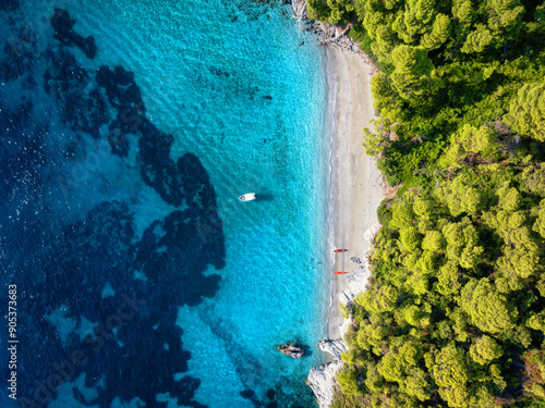 Fototapeta Naklejka Na Ścianę i Meble -  Aerial view of the beautiful beaches and coast of Skopelos island, Sporades, Greece, with lush pine forest and turquoise sea