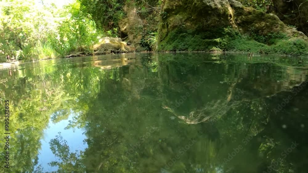 Underwater slow motion video of the river in the forest Underwater slow motion video of the river in the forest