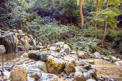 waterfall and rocks in the forest