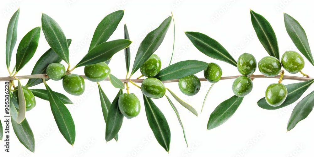 AI-Generated Image of Green Olives on Branches with Fresh Leaves on a White Background, Symbolizing Natural Beauty and Technological Innovation. AI-Generated Image of Green Olives on Branches with Fresh Leaves on a White Background, Symbolizing Natural Beauty and Technological Innovation.