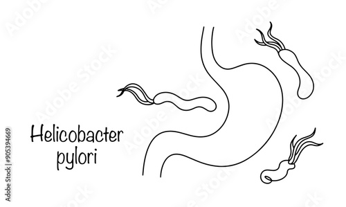 Helicobacter pylori