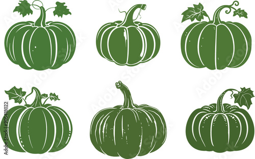 collection of   pumpkins vegetables