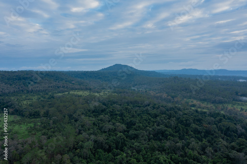 Aerial view of green meadow name 