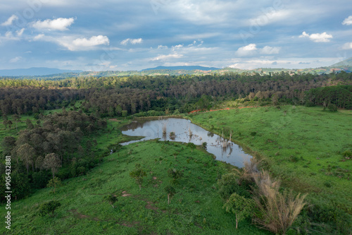 Aerial view of green meadow name 