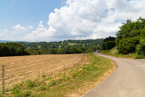 Field in Freach village photo