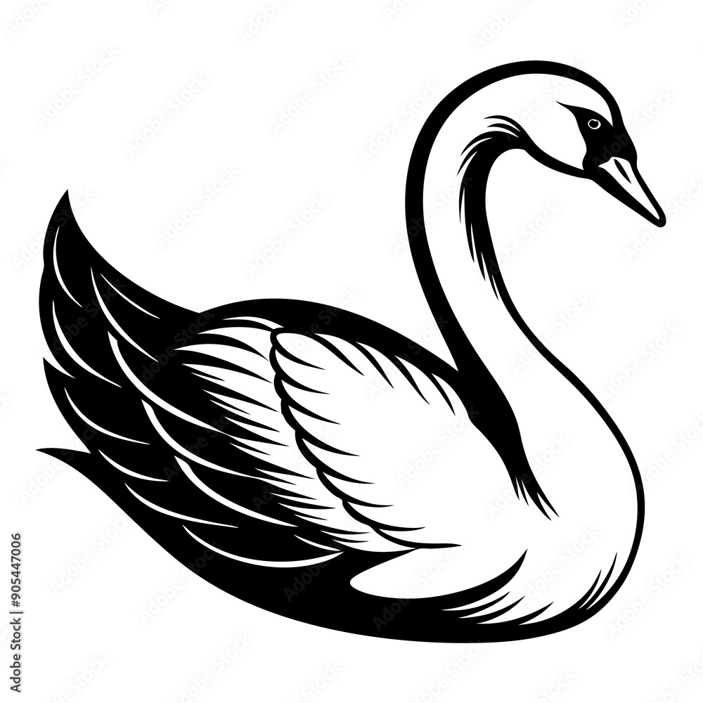 Fototapeta premium Mute swan vector silhouette 