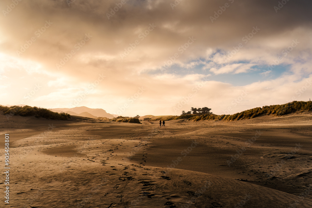 Landscape of golden sand dune with tourist walking and footprint in wilderness at West coast of Cape Farewell Landscape of golden sand dune with tourist walking and footprint in wilderness at West coast of Cape Farewell