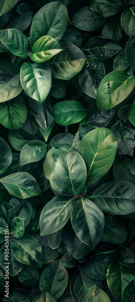 custom made wallpaper toronto digitalGreen leaves texture wallpaper against a dark green background, high resolution, minimal creative nature concept. Flat lay with copy and logo space.