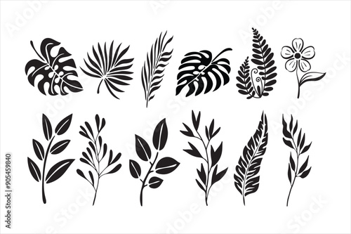 Tropical rain forest leaf set vector hand drawing t photo