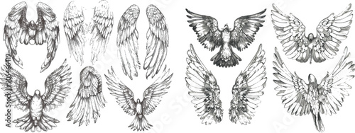 An illustration of a birds' or angels' wings with feathers on the wing. Different heraldic symbols engraved on the wing for tattoos or emblems. Wing elements in different positions and shapes.