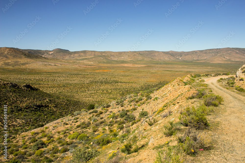 Naklejka premium A small dirt road, going over a mountain pass in the arid scrublands of Namaqualand in South Africa.