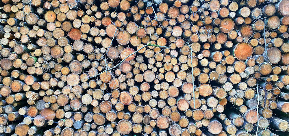 Holzpolter Holzpolter