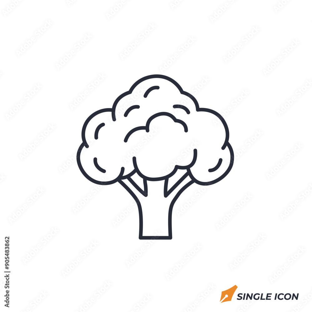 Broccoli icon vector illustration. Broccoli symbol isolated on white background. Broccoli icon vector illustration. Broccoli symbol isolated on white background.