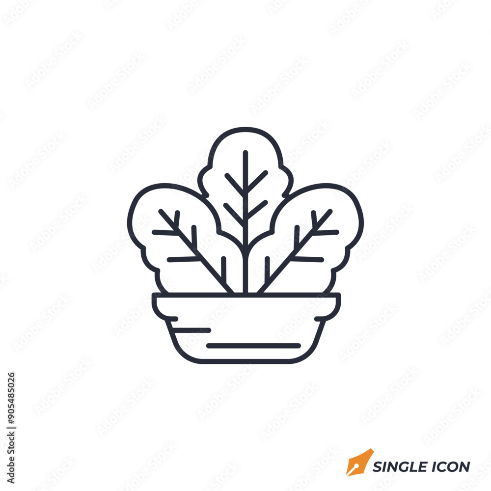 Lettuce icon vector illustration. Lettuce symbol isolated on white background Lettuce icon vector illustration. Lettuce symbol isolated on white background