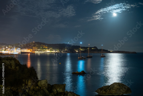 Ocean bay at night with moon