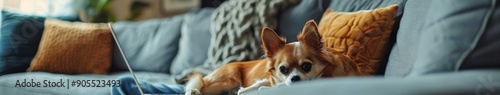 Relaxing Scene of a Person Massaging Their Back on a Couch with an Adorable Chihuahua by Their Side, Facing an Open Laptop.