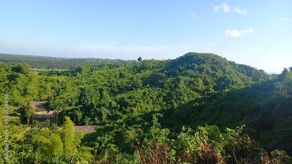 Fototapeta premium Goalia Palong Green Park Hill