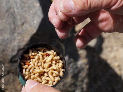 Fotografía fishing hook and maggots in a jar in male hands, close-up