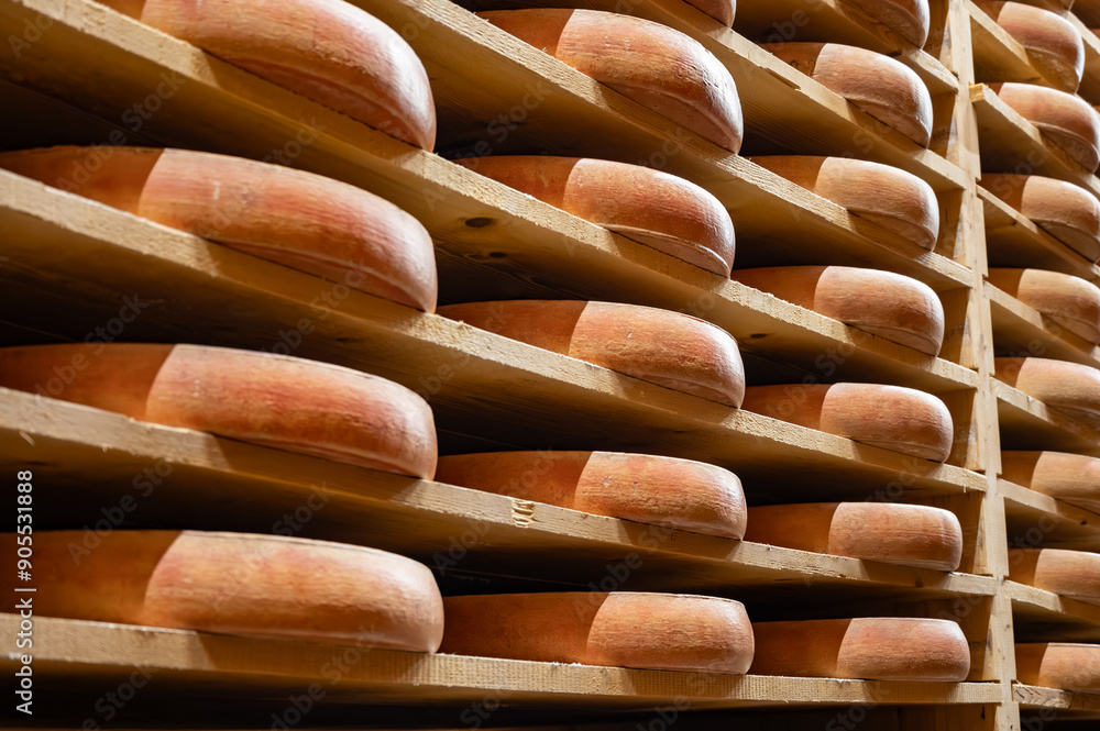 Aging rooms with shelves in cheese caves, central location for aging of wheels, rounds of Comte cheese from four months to several years made from raw cow milk, Jura, France Aging rooms with shelves in cheese caves, central location for aging of wheels, rounds of Comte cheese from four months to several years made from raw cow milk, Jura, France