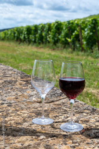 Tasting of red pinot noir wine on grand cru vineyards with cross and stone walls in Cote de nuits, making of famous red and white Burgundy wine in Burgundy region, Vosne-Romanee village photo