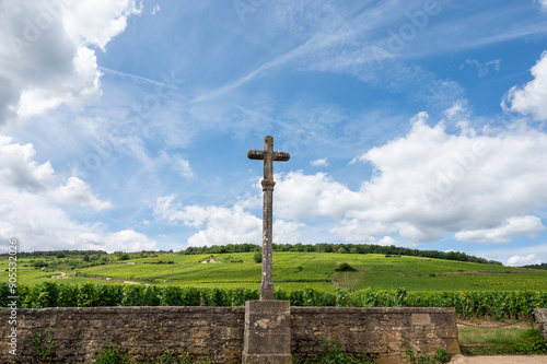 Green grand cru and premier cru vineyards with cross and rows of pinot noir grapes plants in Cote de nuits, making of famous red and white Burgundy wine in Burgundy region, Vosne-Romanee village