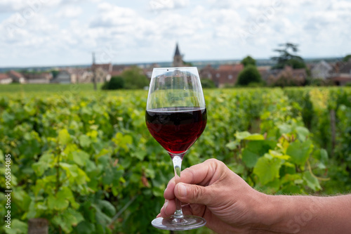 Drinking of red pinot noir wine on grand cru vineyards with cross and stone walls in Cote de nuits, making of famous red and white Burgundy wine in Burgundy region, Vosne-Romanee village photo