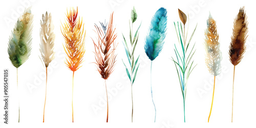 Set collection of Marsh pond river coastal plants reed bulrush hand drawn watercolor design resources elements