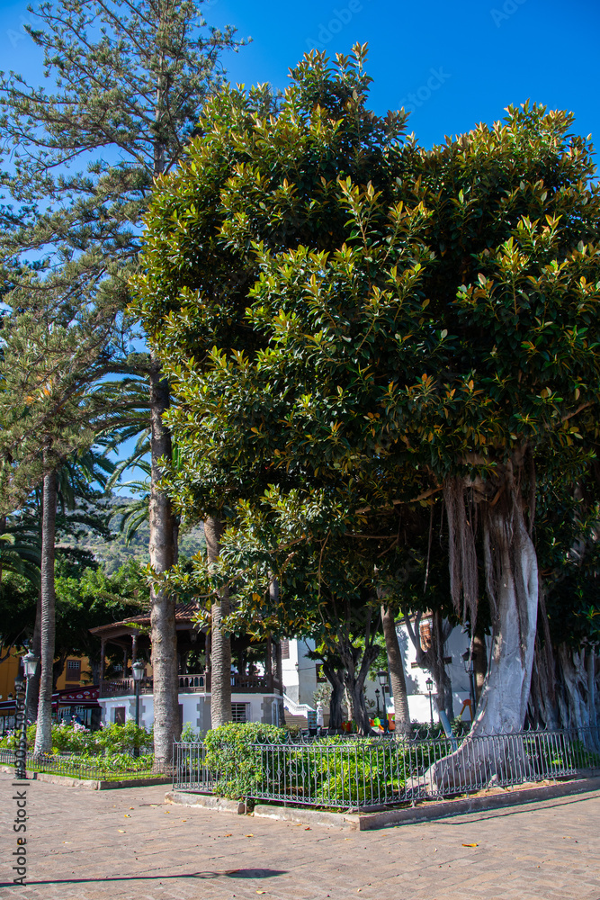 Park in Icod de los Vinos