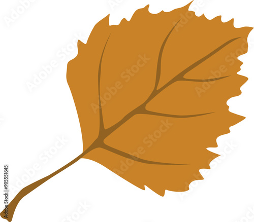 Nature design of linden leaf.