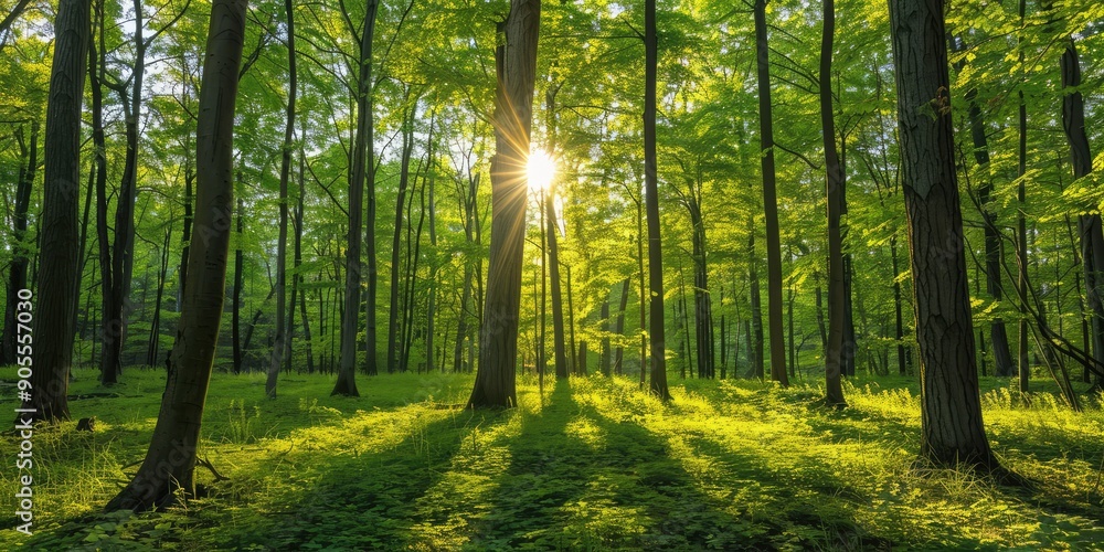 Beautiful morning in a sunny green forest. AI generation Beautiful morning in a sunny green forest. AI generation