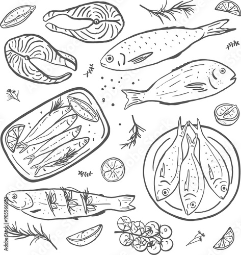 Hand drawn different fish set