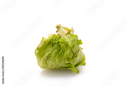 rotten iceberg salat