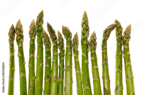 green asparagus art