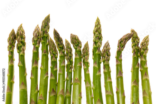 green asparagus art