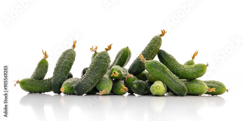 small cucumber used for pickling
