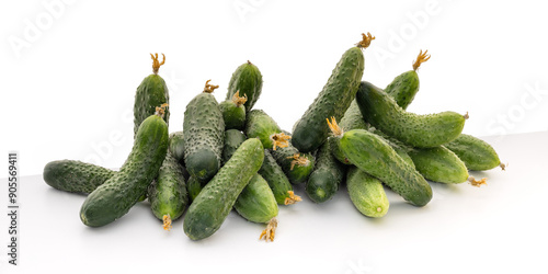 small cucumber used for pickling