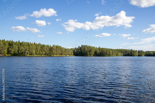 beautiful lace scenery in finland. green trees and blue skies.