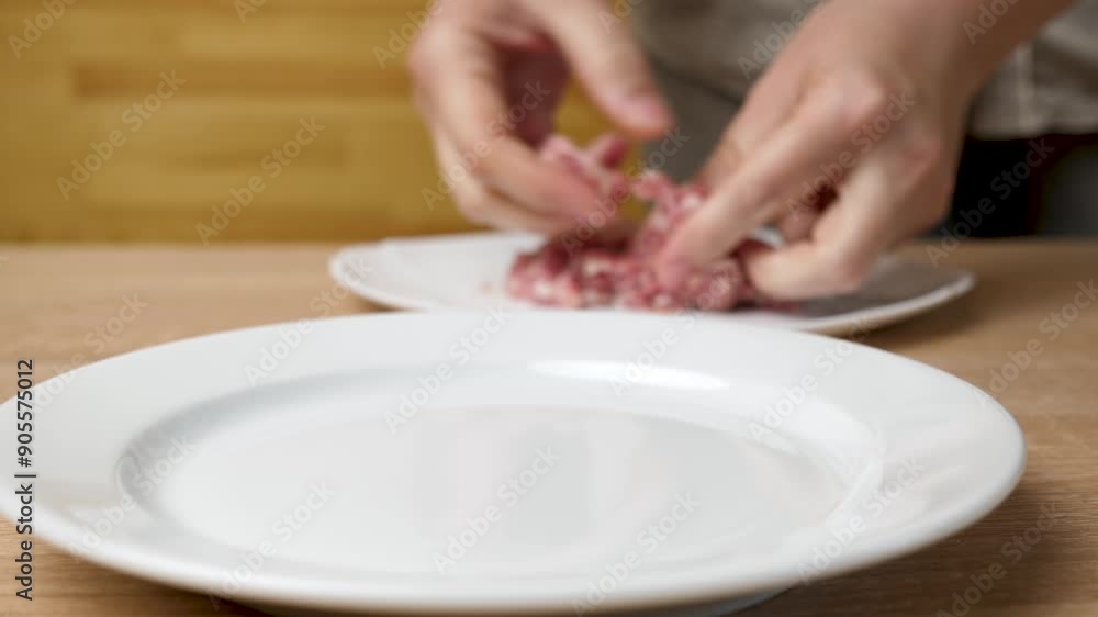 Meatballs are prepared from minced meat. Preparation of dishes from minced meat. Meatballs are prepared from minced meat. Preparation of dishes from minced meat.