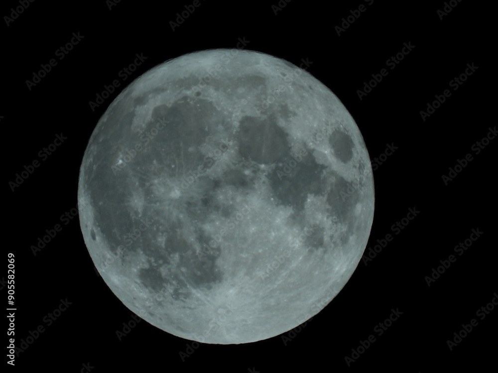 Naklejka premium Full Moon
