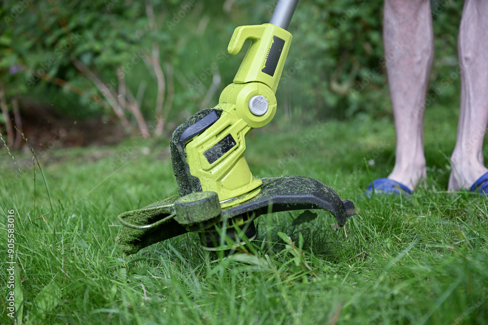 process of cutting grass with a professional grass trimmer process of cutting grass with a professional grass trimmer