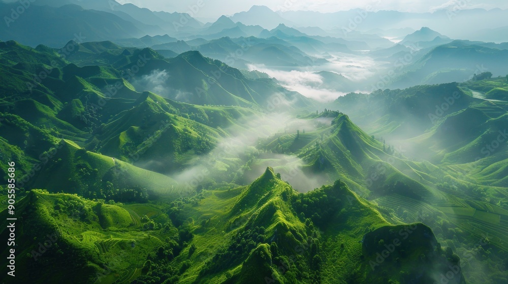 Aerial view of beautiful green mountains foggy morning Aerial view of beautiful green mountains foggy morning