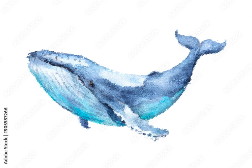 Watercolor blue whale. Illustration isolated on white background. For design, prints or background