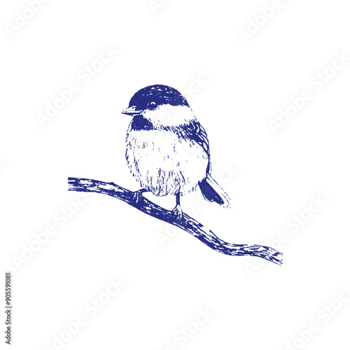 vector illustration bird 