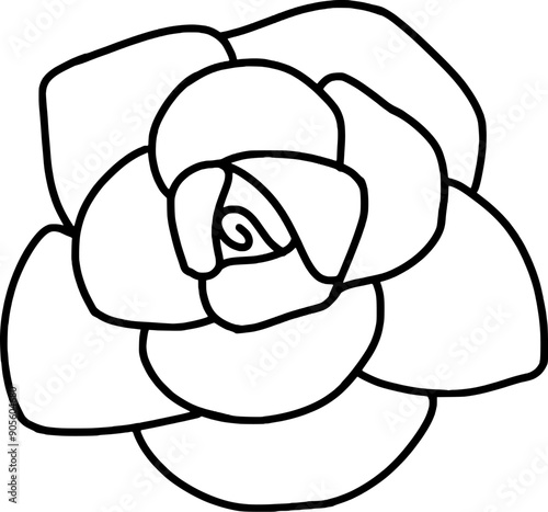 white rose flower with black lineat photo