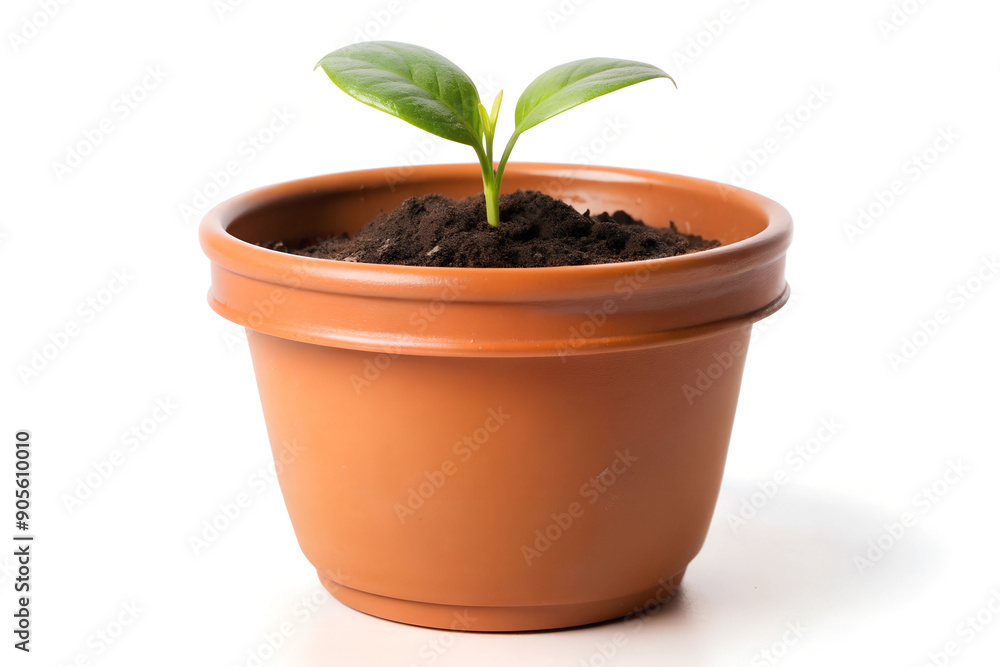 Plant pot, isolated on white background, Container for growing plants. Plant pot, isolated on white background, Container for growing plants.
