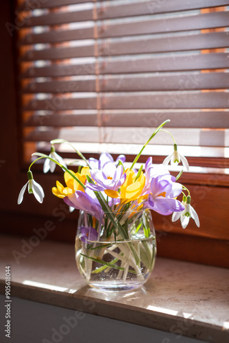 Bouquet of purple crocus in vase. Spring flowers in a vase.