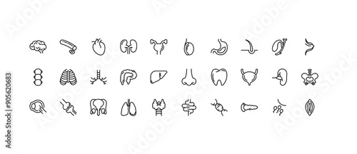 Anatomy and Organs Premium Outlined Icon Pack