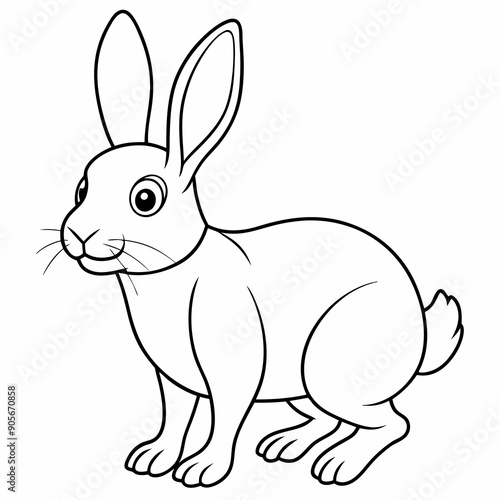 Animals rabbit coloring book outline