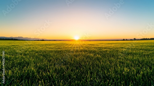 A peaceful meadow at dawn with dew-covered grass, a misty horizon, and a rising sun, ultra HD