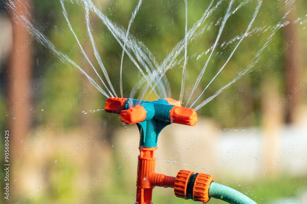 A garden sprinkler waters fruits and vegetables in the garden at sunset. Garden watering system with rotating sprinkler A garden sprinkler waters fruits and vegetables in the garden at sunset. Garden watering system with rotating sprinkler